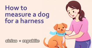 How to Measure a Dog for a Harness: Ensuring Comfort and Safety