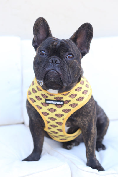 Monkeys are Bananas Reversible Harness