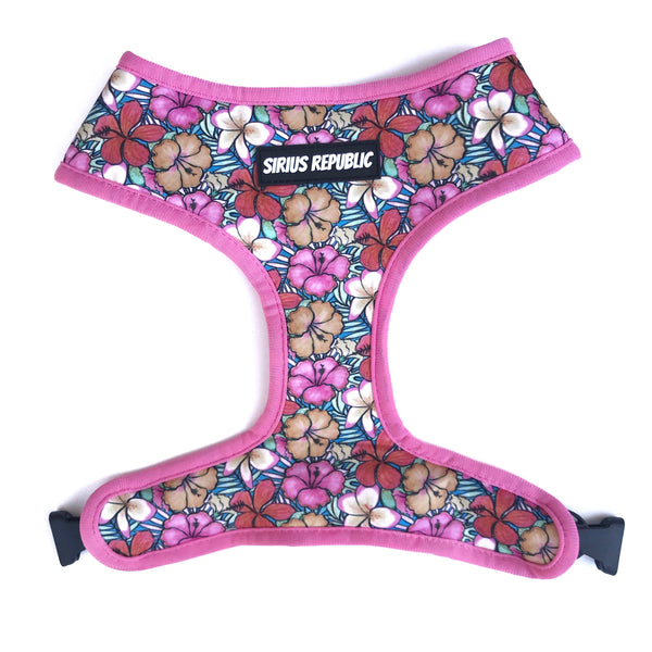 Sea Turtles and Floral Reversible Harness