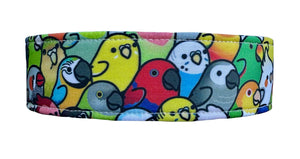 Everybirdy