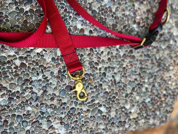 Hands-Free Waist Leash