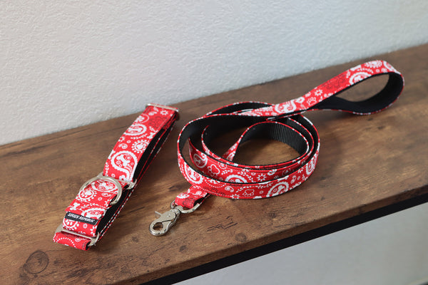 Nylon Leash