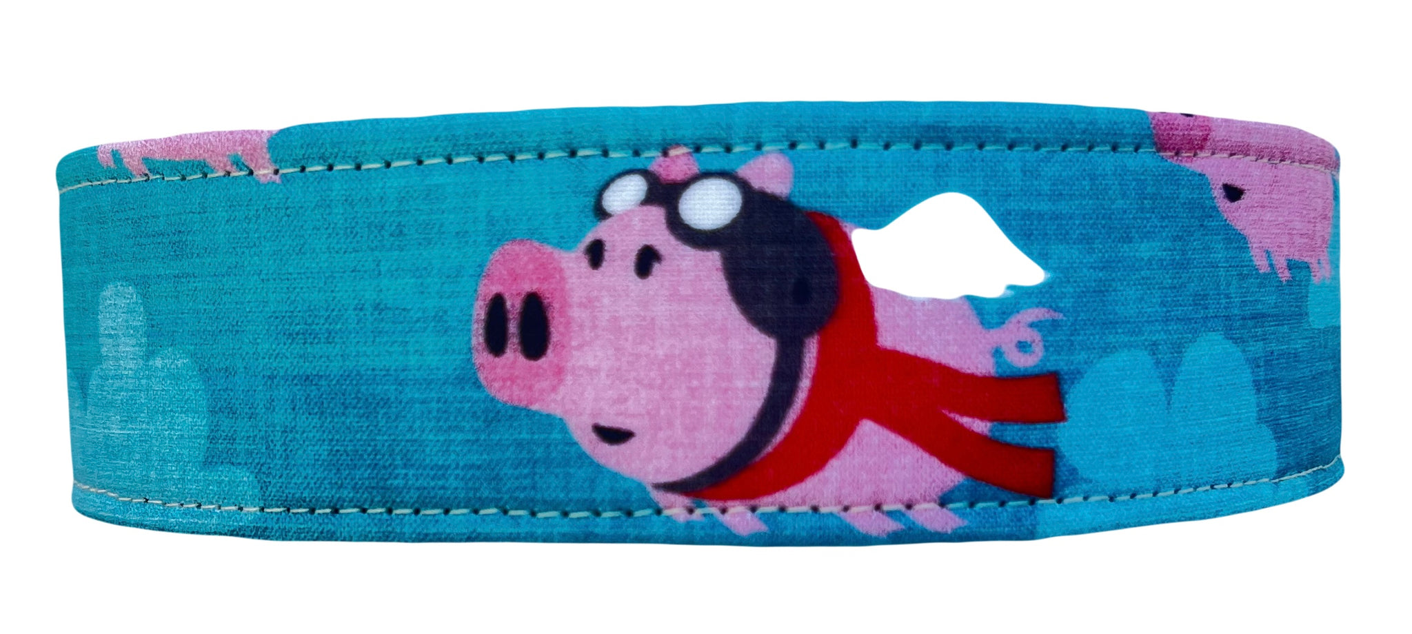 When Pigs Fly
