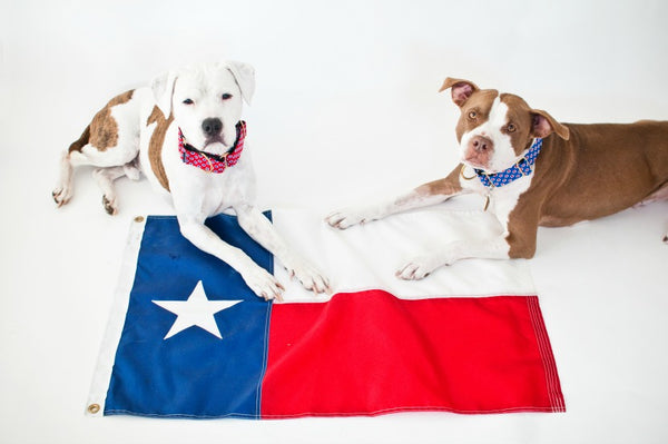 Lone Star - Blue