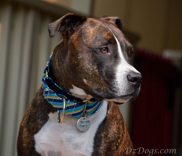 Caspian