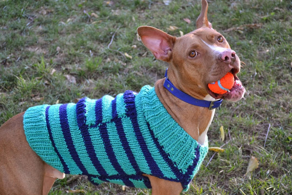 Waterdog Collars