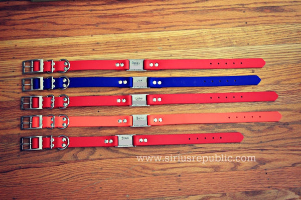 Waterdog Collars