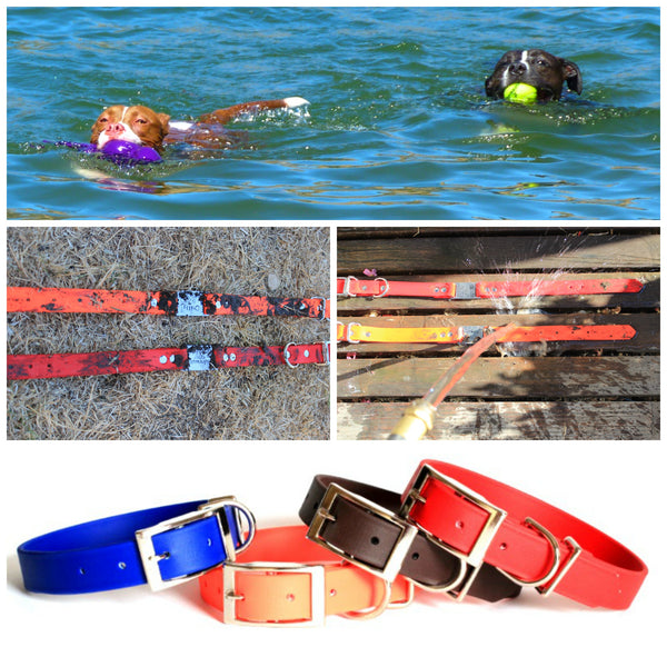 Waterdog Collars