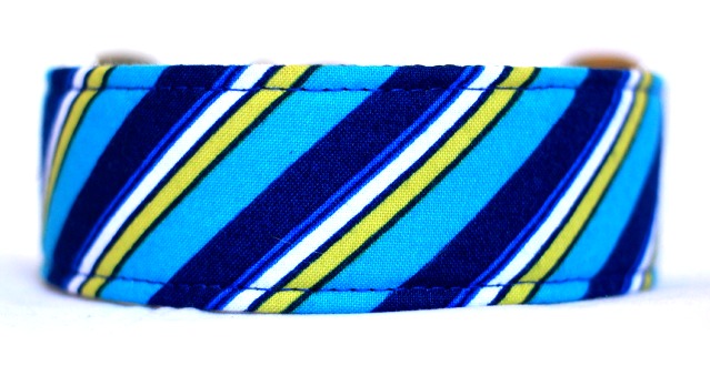 Caspian