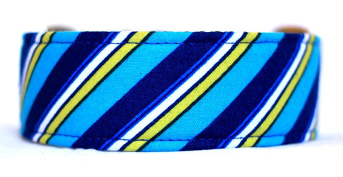 Caspian