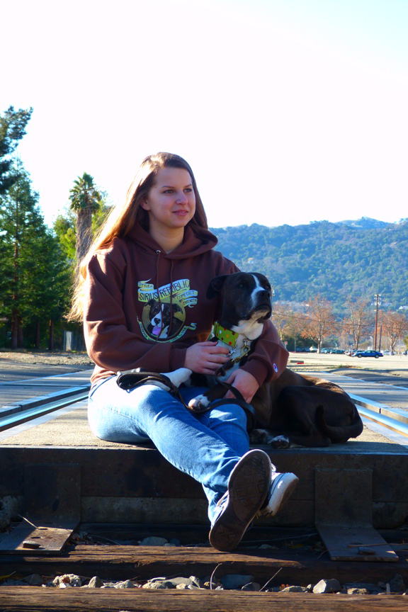 Pitbull Logo Hoodie