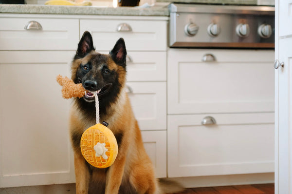 Chicken and Woofles