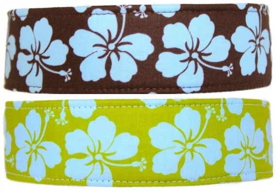Island Pup - Brown