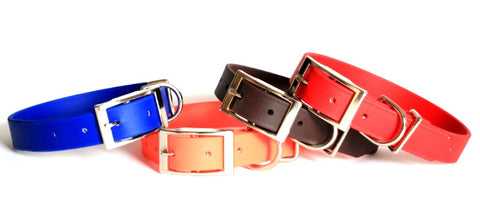 Waterdog Collars